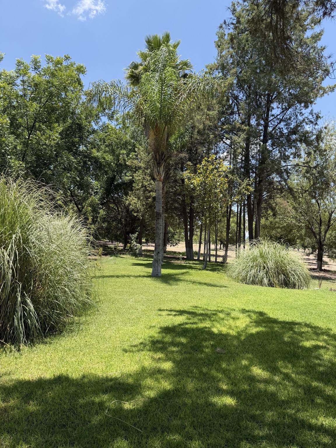 La Nogalera Jardín para Eventos