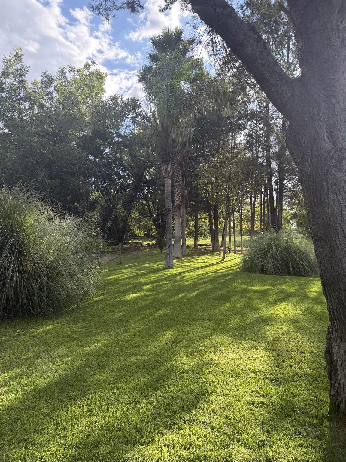 La Nogalera Jardín para Eventos