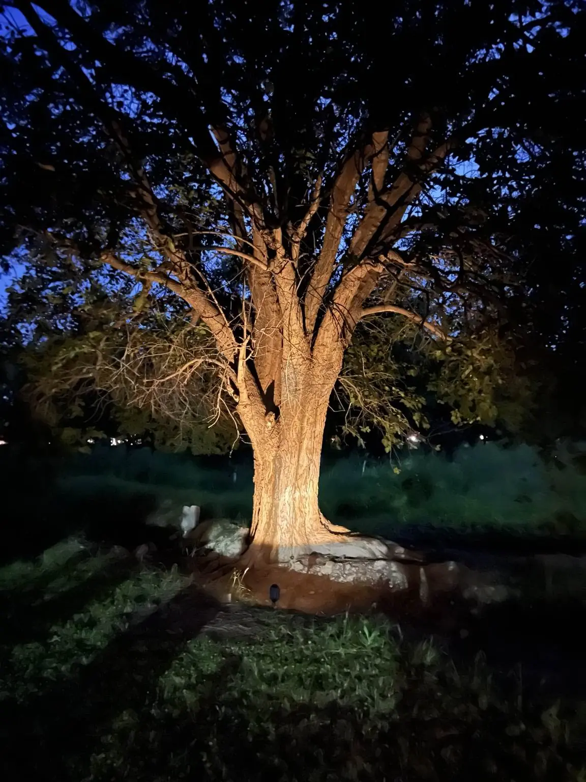 La Nogalera Jardín para Eventos