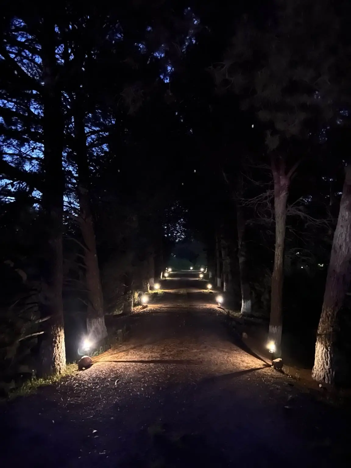 La Nogalera Jardín para Eventos